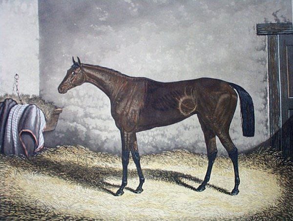 Engraving by J. Brown "Formosa", 1968. Source: https://sportsgalleries.com/full-gallery/horse-racing/st-leger-winners-1802-1912/formosa-1868/