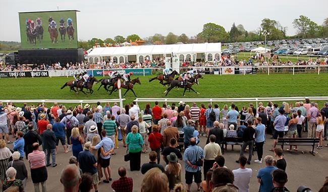 Plumpton Festival is all about champions, both on and off the track