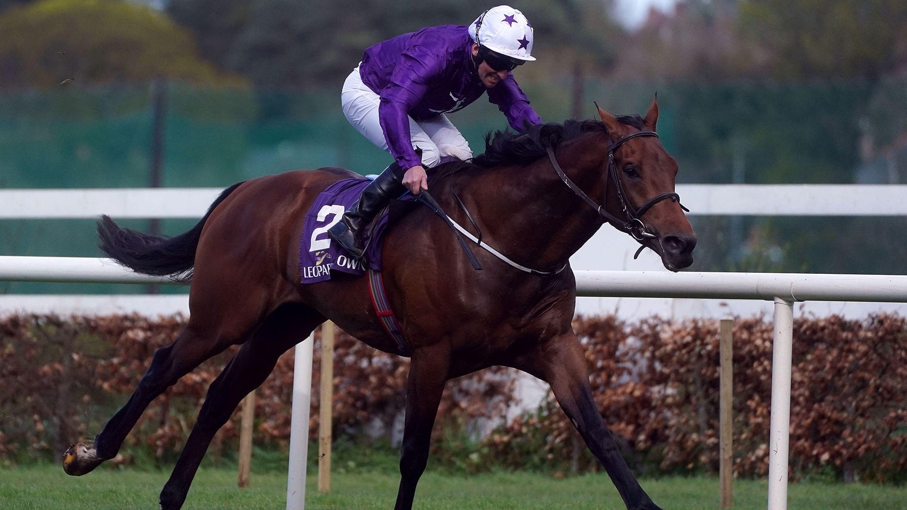 Ballydoyle's Battle Cry goes from last to first