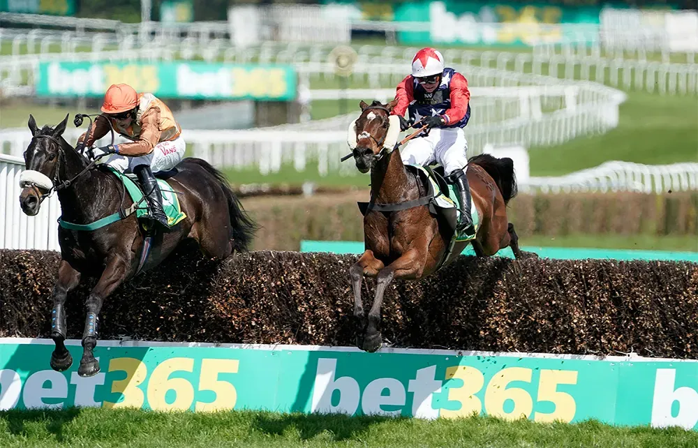 A Look at the Families of Some of the Top Grand National Prospects