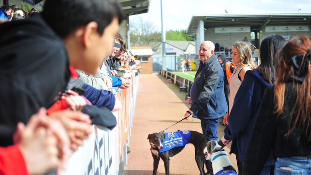 Greyhounds Meet the Brewers: Promoting Greyhound Adoption at Burton Albion FC