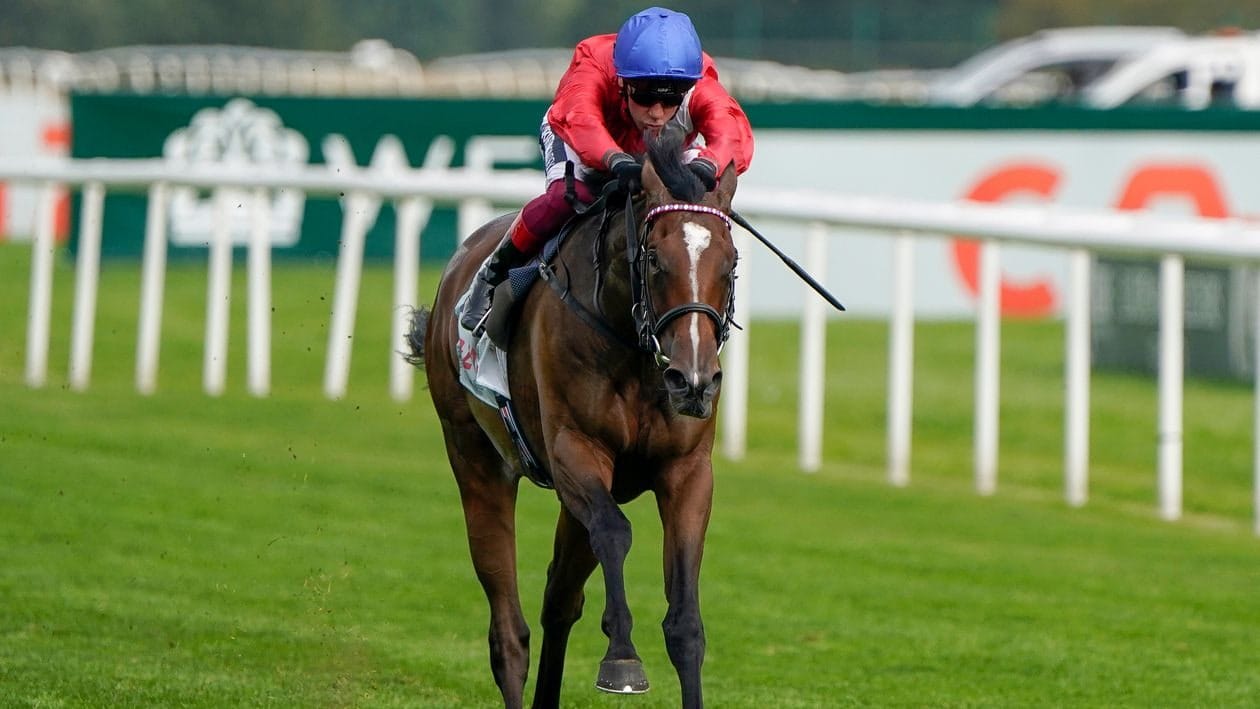 The Magnolia Stakes are won by Dubai Honour, according to Kempton Monday's analysis