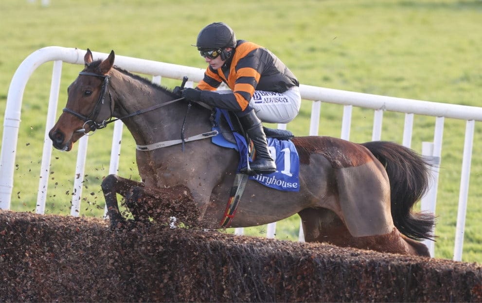 The Best Trainers Evaluate Their Prospects of Winning the Irish Grand National